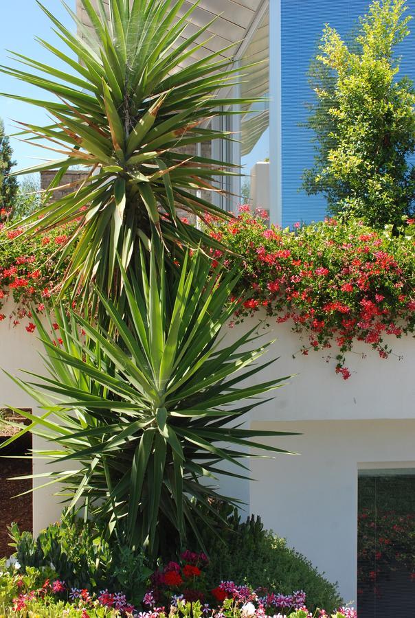 Hotel Torre Santamaria Resort 마티나타 외부 사진