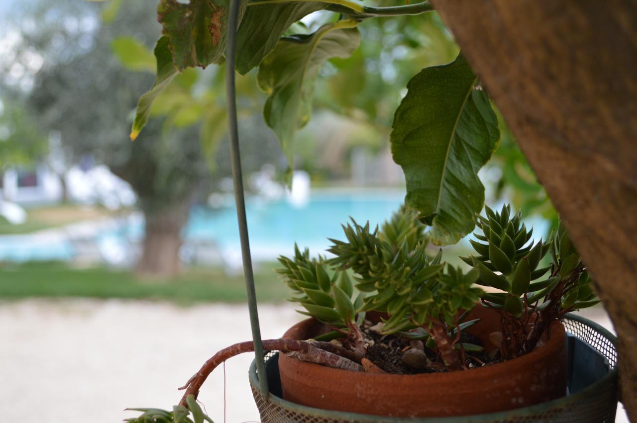 Hotel Torre Santamaria Resort 마티나타 외부 사진